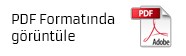 Pdf olarak görüntüle